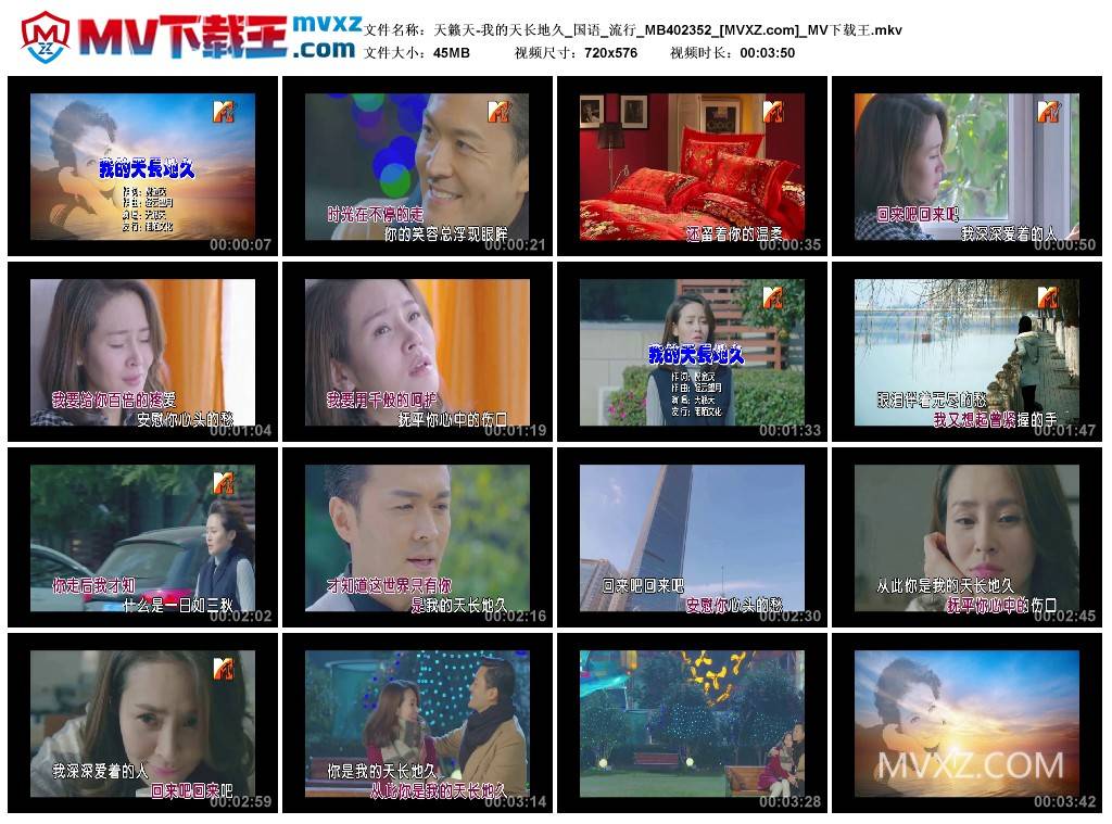 天籁天-我的天长地久_国语_流行_MB402352